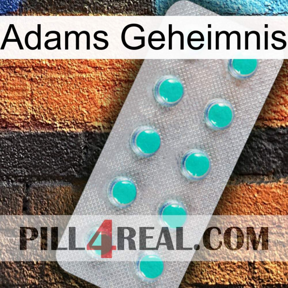 Adams Secret 28.jpg
